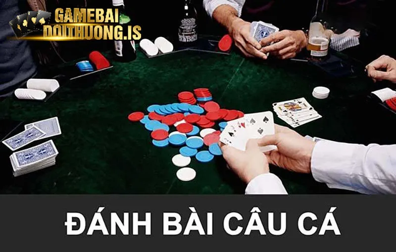 Bài câu cá Rikvip